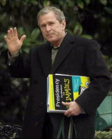George W. Bush and Precidency for dummies